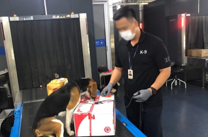 [세종=뉴시스]&nbsp; 해외 직구 불법 반입 열대 생과실 등 특별 검역 실시. (사진=농림축산검역본부 제공) *재판매 및 DB 금지