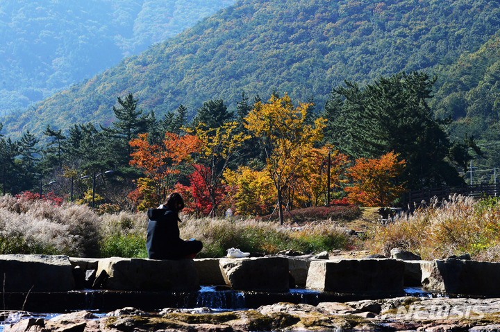 전북 낮 18~20도 '맑음'…오전 대기질 나쁨 