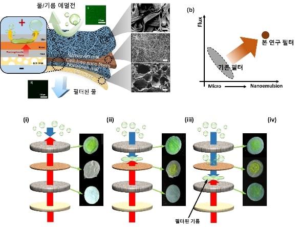 'ACS Nano'에 게재된 논문 *재판매 및 DB 금지