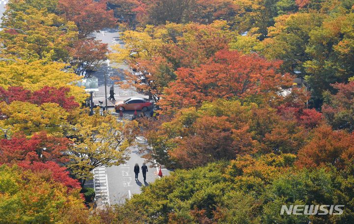 [부산=뉴시스] 하경민 기자 = 27일 오후 부산 연제구 부산시청 앞 공영주차장 일대에 울긋불긋 물든 단풍길이 펼쳐져 가을 정취를 선사하고 있다. 2021.10.27. yulnetphoto@newsis.com