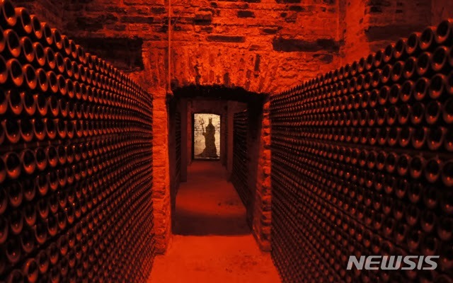 [와인이야기]악마가 지키는 와인 '디아블로'