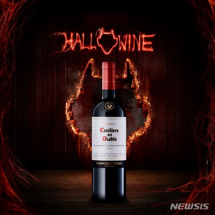 [와인이야기]악마가 지키는 와인 '디아블로'