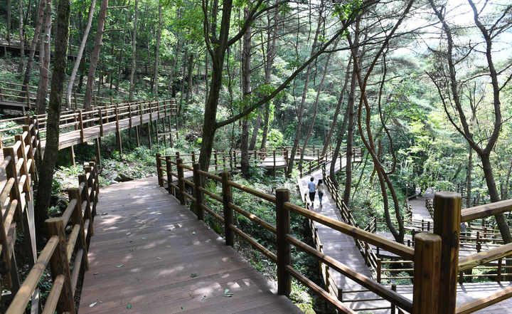 [거창=뉴시스] 거창 무장애 데크로드. *재판매 및 DB 금지