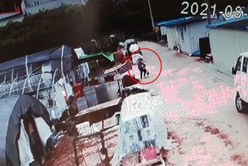 온라인 커뮤니티 '보배드림' 캡처 *재판매 및 DB 금지