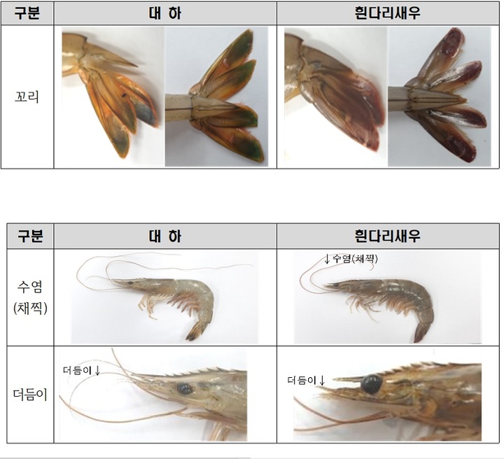대하와 흰다리새우 구별 방법(사진=식품의약품안전처 제공) *재판매 및 DB 금지
