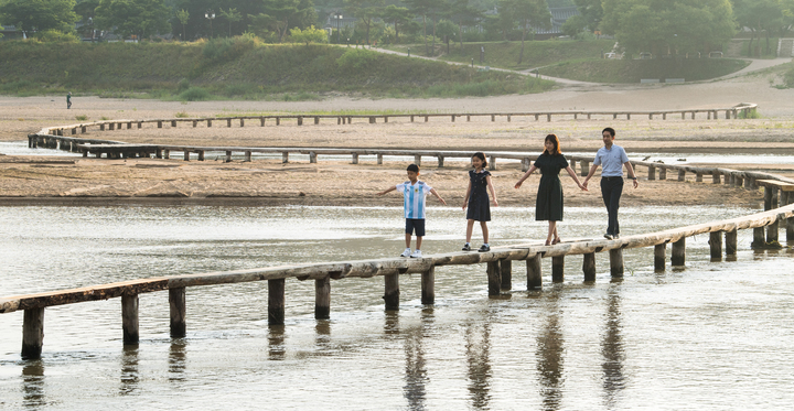 영주 무섬마을 외나무다리 (사진=영주시 제공) *재판매 및 DB 금지