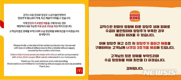 햄버거 양상추 실종 장기화…연말 대목 장사 망칠까 우려↑