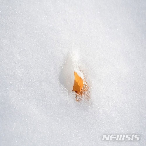 [서울=뉴시스]모달 앨범 2021.11.03(사진=로칼하이레코즈 제공) photo@newsis.com*재판매 및 DB 금지