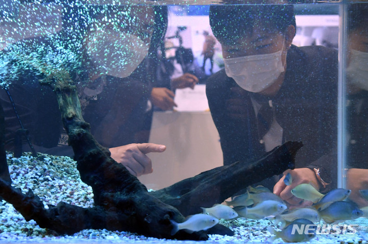[부산=뉴시스] 하경민 기자 = 제19회 부산국제수산엑스포가 개막한 3일 오전 부산 벡스코 제1전시장 국립수산과학원 부스를 찾은 관람객들이 국내 고유어종인 칼납자루를 살펴보고 있다. 오는 5일까지 열리는 이번 엑스포에는 수산 관련 업체 343곳이 참가했다. 2021.11.03. yulnetphoto@newsis.com