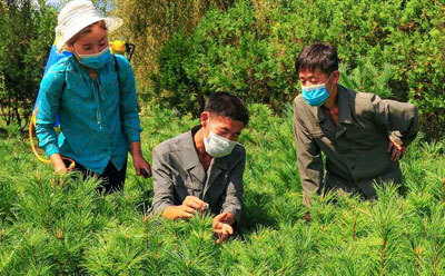 [서울=뉴시스] 북청군산림경영소에서. 2021.11.04. (사진=노동신문 캡처) *재판매 및 DB 금지