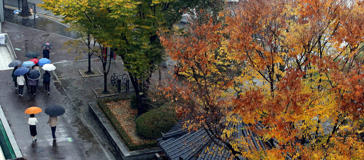 [광주=뉴시스] 가을비 내리는 광주 도심. (사진=뉴시스DB) photo@newsis.com *재판매 및 DB 금지