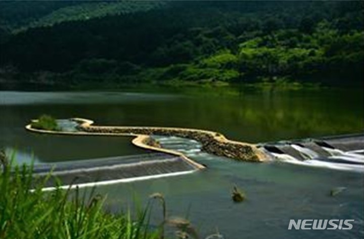 [서울=뉴시스] 어도의 생태(최원재씨 작품)