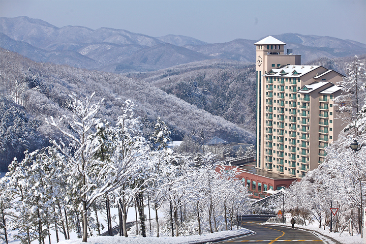 (사진=오크밸리 제공) *재판매 및 DB 금지