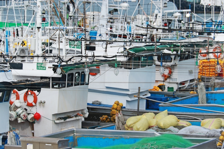 [평택=뉴시스] 평택해경 관내 항구에 정박해 있는 어선 모습. 2021.11.10. (사진=평택해경 제공) *재판매 및 DB 금지