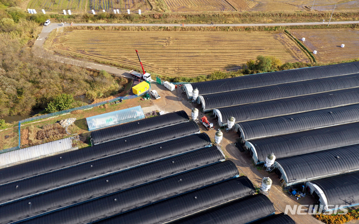 [나주=뉴시스] 류형근 기자 = 12일 오후 전남 나주의 한 오리농장에서 고병원성 조류인플루엔자(AI) 의심 축이 발생함에 따라 방역당국이 예방적 살처분을 위해 통제초소를 설치하고 있다. 2021.11.12. hgryu77@newsis.com