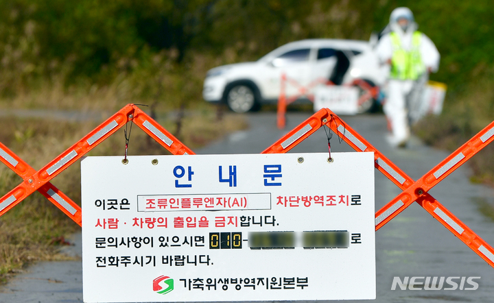 전남 나주 육용오리농장 고병원성 AI 발생…"방역관리 강화"