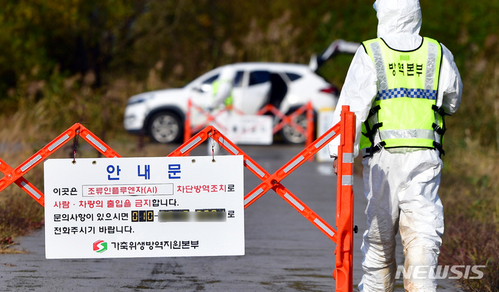 [나주=뉴시스] 류형근 기자 = 지난달 12일 오후 전남 나주의 한 오리농장에서 고병원성 조류인플루엔자(AI) 의심 축이 발생함에 따라 방역당국이 예방적 살처분을 위해 출입 통제를 하고 있다. 2021.11.12. hgryu77@newsis.com