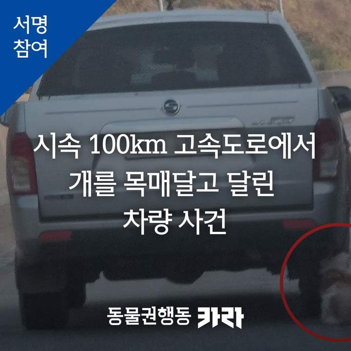 [단양=뉴시스] 조성현 기자 = (사진=동물권단체 카라 SNS) 2021.11.15. photo@newsis.com *재판매 및 DB 금지