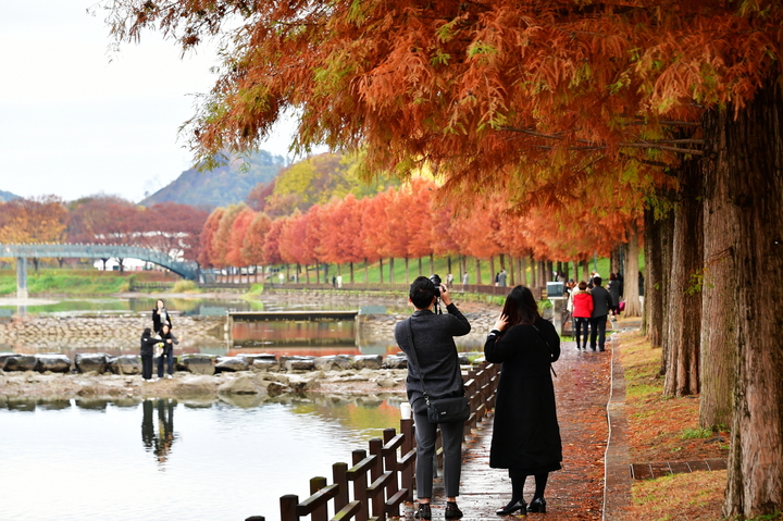  *재판매 및 DB 금지