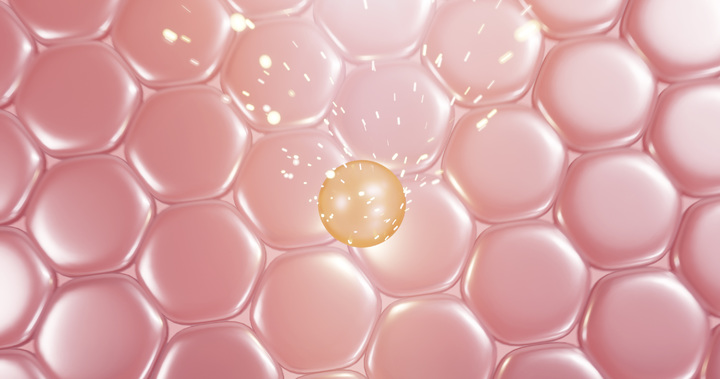 저분자콜라겐펩타이드 *재판매 및 DB 금지