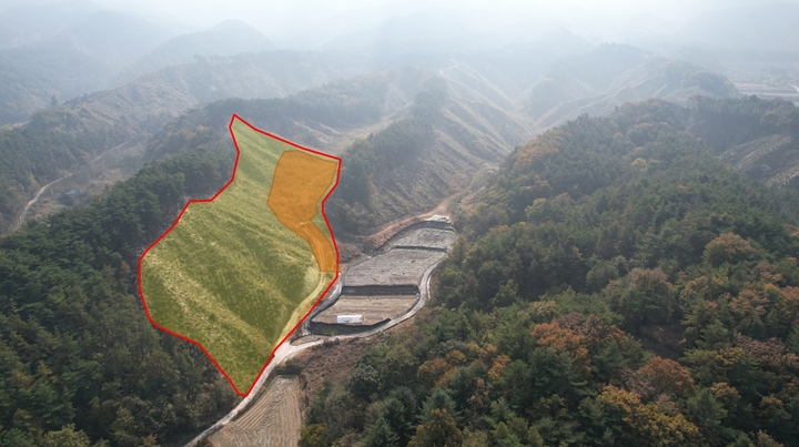 [안동=뉴시스] 김천 호두 재배단지. (사진=경북도 제공) 2026.03.29 *재판매 및 DB 금지