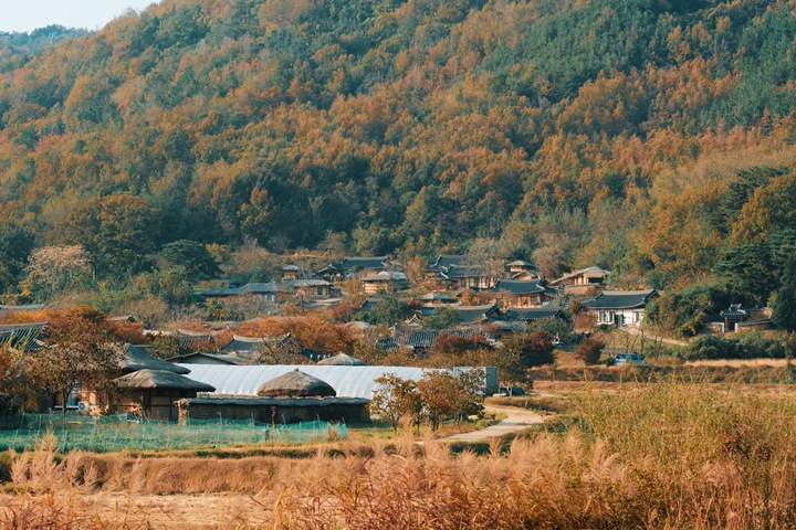 [서울=뉴시스]고성 해파랑길 47코스 (사진 = 한국관광공사) 2021.11.17. photo@newsis.com