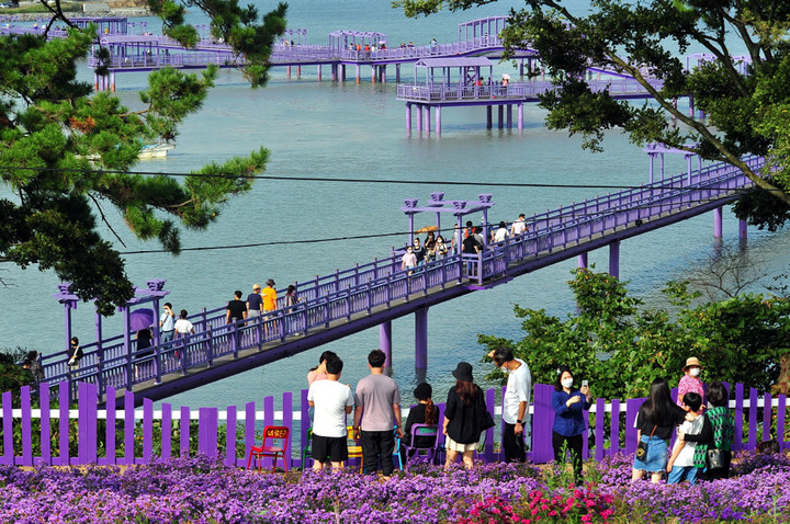 [신안=뉴시스] 퍼플교 찾은 관광객. *재판매 및 DB 금지