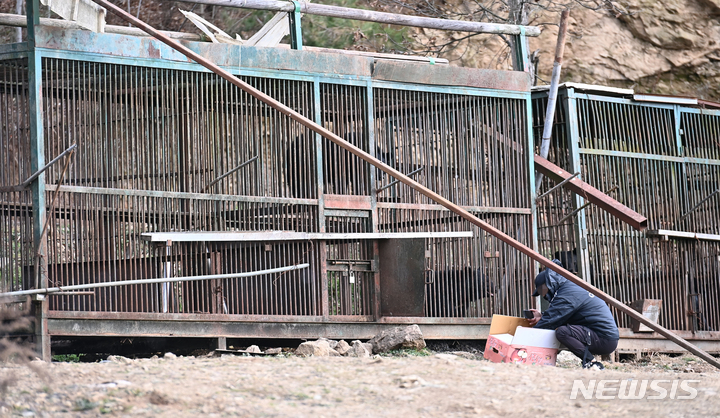 [용인=뉴시스] 김종택기자 = 22일 경기도 용인시의 한 곰사육농장에서 반달가슴곰이 탈출해 관계자들이 포획작업에 나서고 있다. 사진은 반달가슴곰이 탈출한 경기도 용인시 이동읍 천리 곰사육농장 모습. 2021.11.22. jtk@newsis.com
