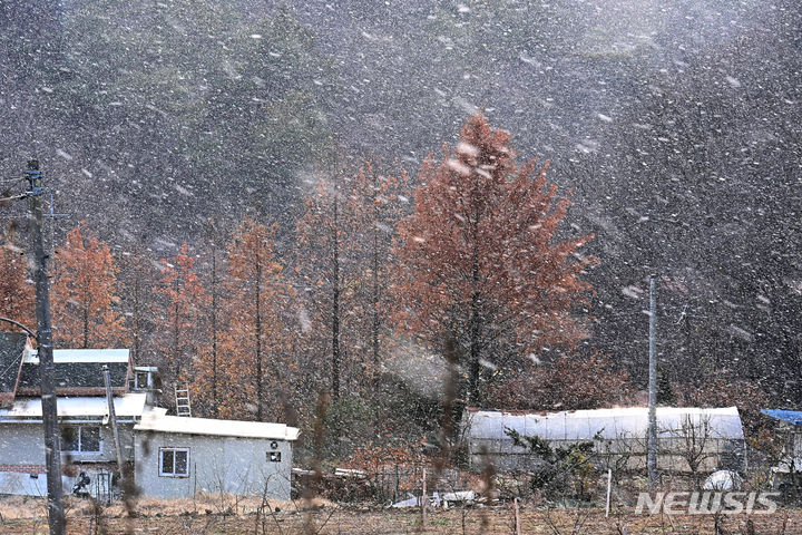 전북 전주 첫눈, 동부 대설특보…낮 2~6도 서해안 강풍