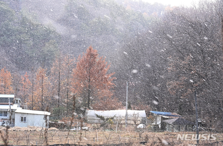 [용인=뉴시스] 김종택기자 = 절기상 소설인 22일 오후 경기도 용인시 이동읍 천리에 눈이 내리고 있다. 2021.11.22. jtk@newsis.com