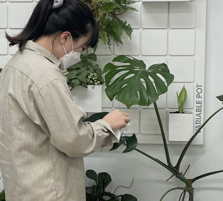 "2명 중 1명 코로나19 이후 반려식물 관심 늘었다"