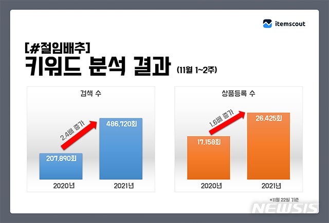 [서울=뉴시스] 온라인 마켓 '절임 배추' 키워드 분석. (그래픽=아이템스카우트 제공) 2021.11.24. photo@newsis.com