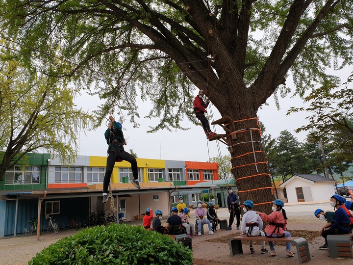 [안동=뉴시스] 상주 중모초 학생들이 트리 클라이밍과 짚라인을 타며 즐기고 있다. (사진=경북교육청 제공) 2021.11.24 *재판매 및 DB 금지