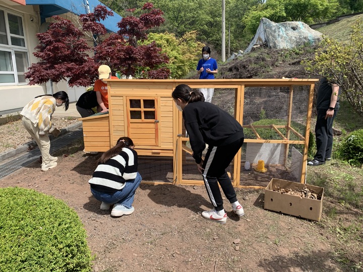 [안동=뉴시스] 안동 신성초 학생들이 닭장 만들기를 하고 있다. (사진=경북교육청 제공) 2021.11.24 *재판매 및 DB 금지