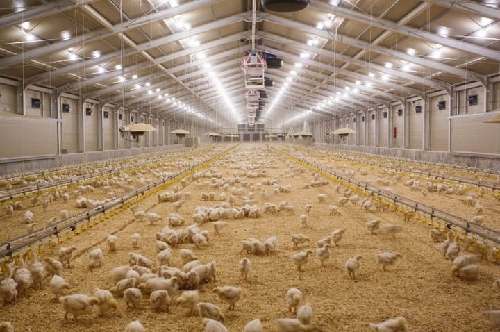 [전주=뉴시스] 전북도 현대화 축사 시설. *재판매 및 DB 금지