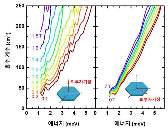 [서울=뉴시스] 외부 자기장 방향에 따른 Mn3Si2Te6의 테라헤르츠 흡수계수. 왼쪽 그림과 같이 외부 자기장 및 스핀이 결정면에 수직할 때 부도체-금속 상전이가 일어난다는 것을 알 수 있다. 오른쪽 수평 방향 경우에서는 거의 변화가 없다(자료=연세대 제공) *재판매 및 DB 금지