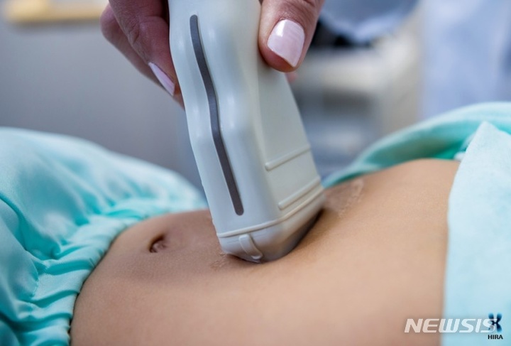 [서울=뉴시스]담낭(쓸개)은 간에서 생성된 담즙을 저장해 두었다가 필요할 때마다 분비하며 소화를 돕는다. 식습관의 서구화와 복부 초음파 검사 등 건강검진의 영향으로 관련 질환이 증가하고 있다. (사진= 건강보험심사평가원 제공) 2021.11.26