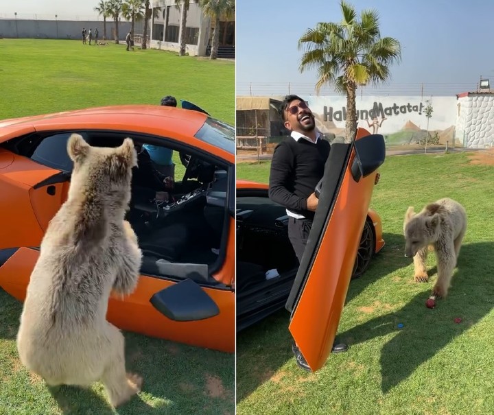 [서울=뉴시스] 지난 23일 두바이에서 후마이드 압둘라 알부카이시의 반려곰이 4억이 넘는 람보르기니의 문짝을 잡아뗐다. (출처 : 후마이드 압둘라 알부카이시 인스타그램) 2021.11.26. *재판매 및 DB 금지