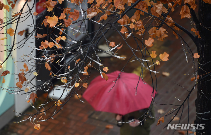 [대구=뉴시스] 이무열 기자 = 겨울비가 내리고 있는 지난해 11월30일 오후 대구 중구 동성로에서 우산을 쓴 한 시민이 길을 걷고 있다. 2021.11.30. lmy@newsis.com