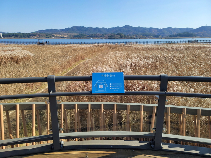 [서천=뉴시스]오디오 해설 가이드 설치된 서천 신성리갈대밭. *재판매 및 DB 금지