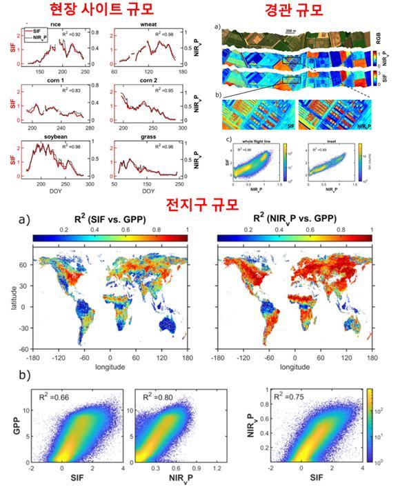 [서울=뉴시스] NIRvP와 SIF, 광합성을 다중 규모에서 평가한 결과. NIRvP는 SIF의 시공간 변이를 대부분 설명했다. 또한 NIRvP는 광합성의 시공간 변이를 SIF보다 더 잘 예측한 것으로 나타났다(자료=서울대 제공) *재판매 및 DB 금지