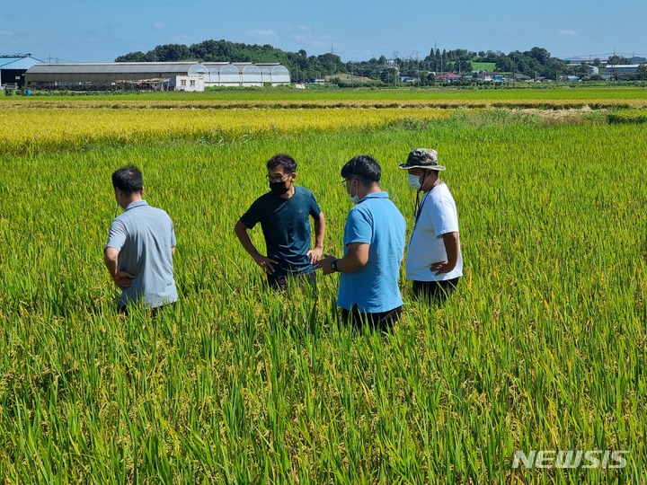 꿈마지 실증포장 생육상태, 경기도 합동점검