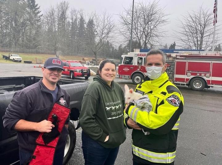 [서울=뉴시스] 미국 워싱턴주 그레이엄에서 한 커플이 키우는 왈라비 한마리가 스스로 자동차 문을 잠궜다가 차 안에 갇히는 사고가 발생했다. 워싱턴 그레이엄 소방관들은 비상 잠금 신고를 받고 출동해 왈라비를 구출했다. (출처 : 그레이엄 소방서 인스타그램) 2021.12.09. *재판매 및 DB 금지