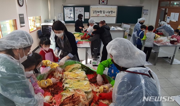 [창원=뉴시스] 홍정명 기자=경남 창원한들초등학교 학생들이 9일 교내 과학실에서 마을교사 학부모의 도움을 받아 직접 재배한 배추로 김장 담그기를 체험하고 있다.(사진=창원한들초등학교 제공) 2021.12.09. photo@newsis.com