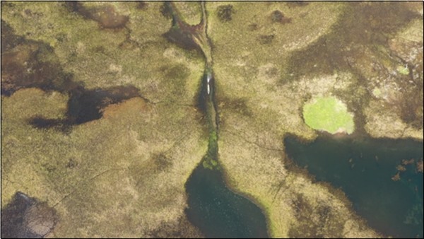 [서울=뉴시스]판타날 2021.12.09(사진=KBS 제공) photo@newsis.com*재판매 및 DB 금지 *재판매 및 DB 금지