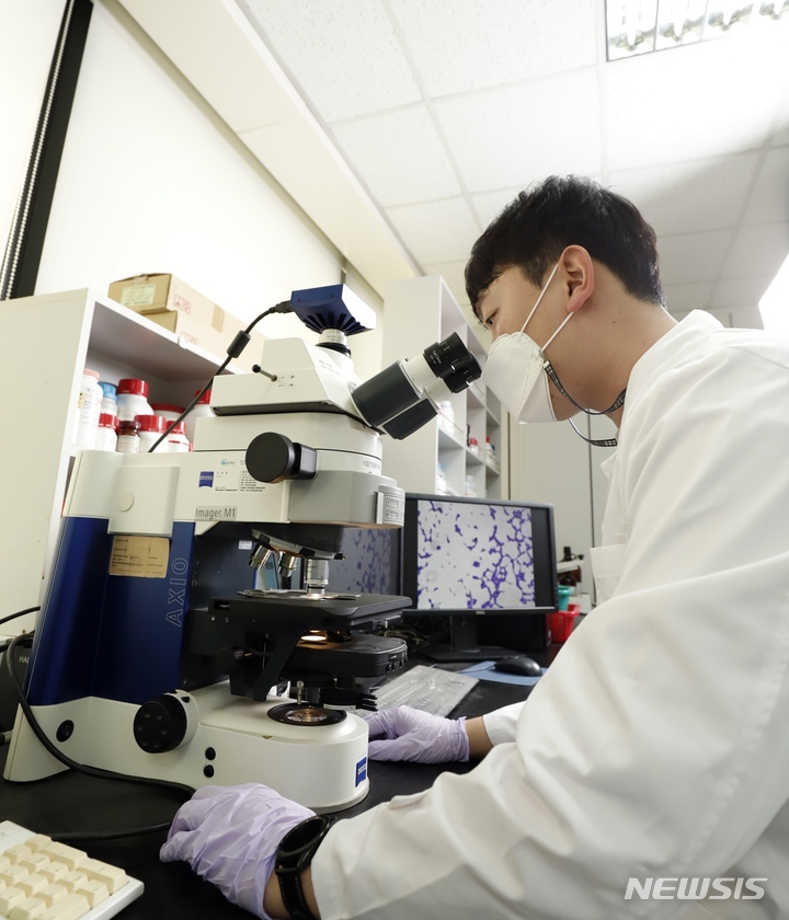 hy, '꾸지뽕잎추출물' 개별인정형 원료 인정