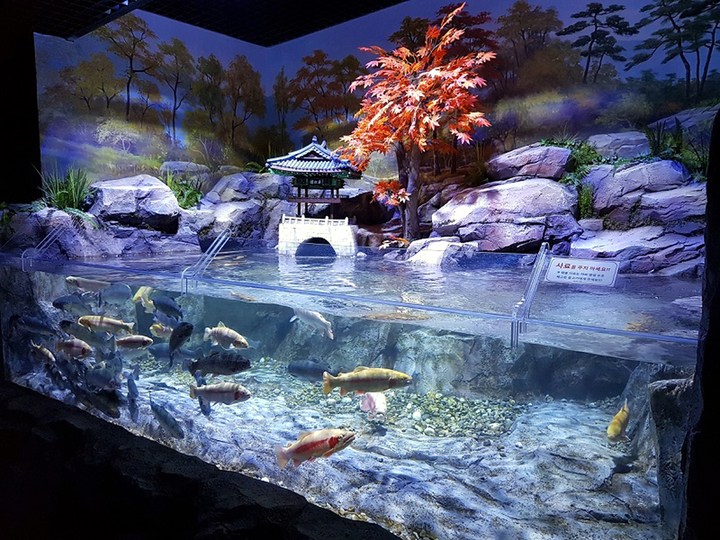 섬진강어류생태관 파노라마 수조 *재판매 및 DB 금지