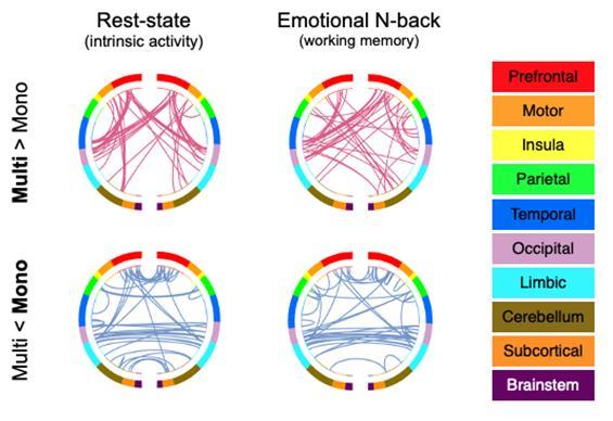 [대전=뉴시스] 다언어 사용 아동과 단일언어 사용 아동의 뇌 전체 연결망 차이를 나타내는 그림. 다언어 사용 아이들은 단일언어 사용 아이들에 비해 뇌의 전두엽과 후두엽 사이 강한 연결망을 보인다. *재판매 및 DB 금지