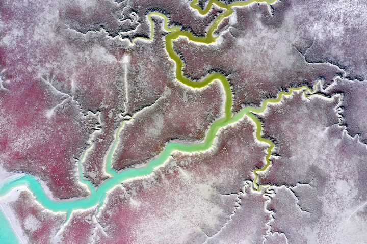 [신안=뉴시스] 붉게 물든 신안갯벌. (사진=신안군 제공) 2021.12.13. photo@newsis.com *재판매 및 DB 금지