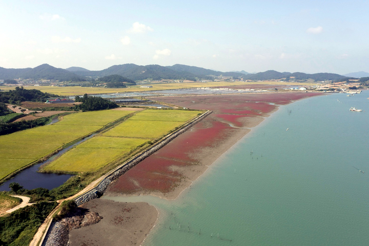 [신안=뉴시스] 유네스코 세계자연유산 신안갯벌. (사진=신안군 제공) 2021.12.13. photo@newsis.com *재판매 및 DB 금지